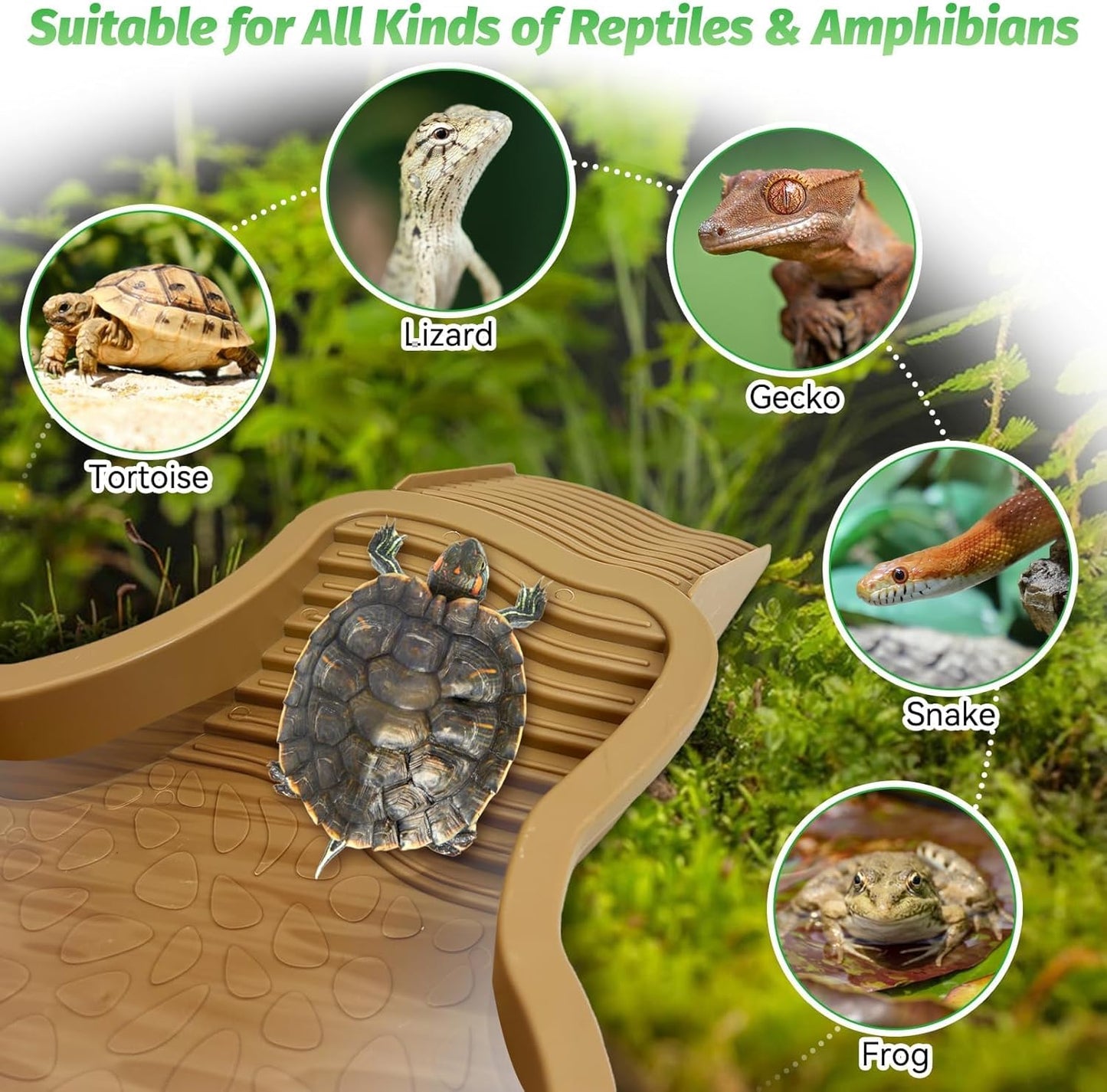 Large Reptile Bathing Pool Tortoise Water Dish with Removable Ramp and Leaf Reptile Food Dish & Water Bowl Tortoise Habitat Accessories for Turtle Lizard Gecko Snake (Yellow)