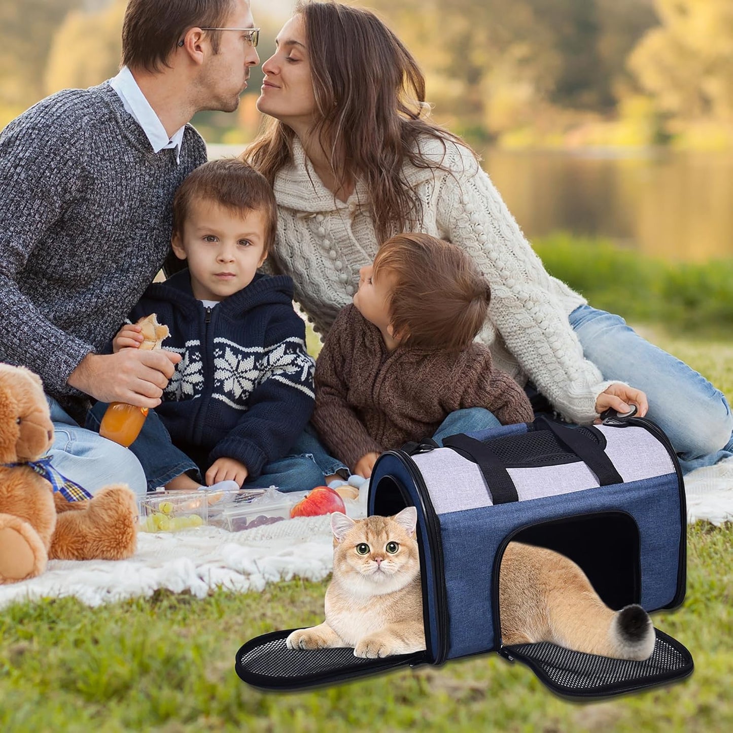 Soft-Sided Kennel Pet Carrier for Small Dogs, Cats, Puppy, Airline Approved Cat Carriers Dog Carrier Collapsible, Travel Handbag & Car Seat