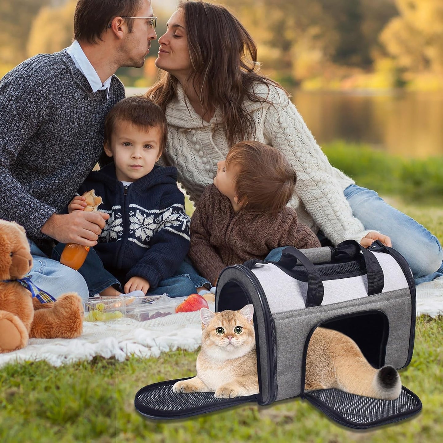 Soft-Sided Kennel Pet Carrier for Small Dogs, Cats, Puppy, Airline Approved Cat Carriers Dog Carrier Collapsible, Travel Handbag & Car Seat
