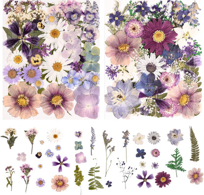 80PCS Pressed Dried Flowers & Leaves, Natural Color | Real Pressed Flowers, Includes Tweezers, For DIY Crafts, Resin Jewelry, Cards, Soap,CandleMaking, Nail Art,Scrapbooking