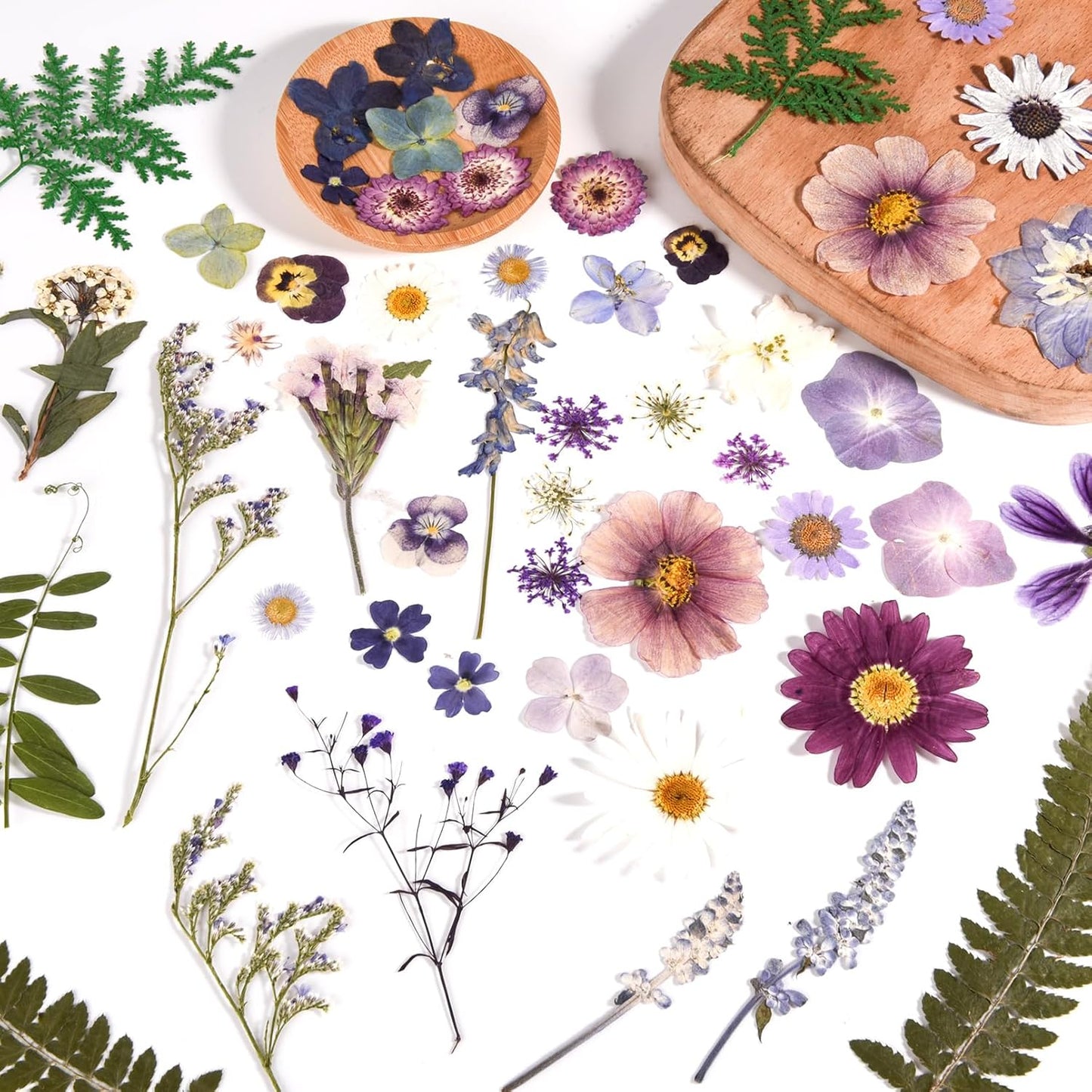 80PCS Pressed Dried Flowers & Leaves, Natural Color | Real Pressed Flowers, Includes Tweezers, For DIY Crafts, Resin Jewelry, Cards, Soap,CandleMaking, Nail Art,Scrapbooking