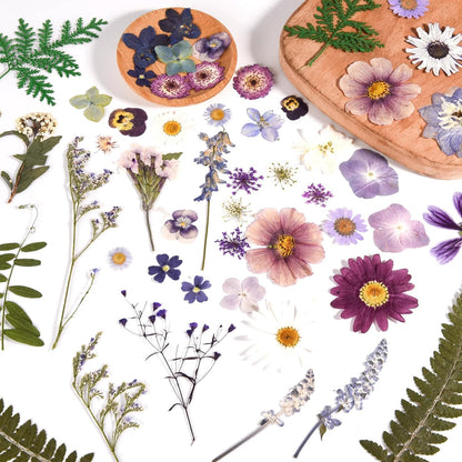 80PCS Pressed Dried Flowers & Leaves, Natural Color | Real Pressed Flowers, Includes Tweezers, For DIY Crafts, Resin Jewelry, Cards, Soap,CandleMaking, Nail Art,Scrapbooking