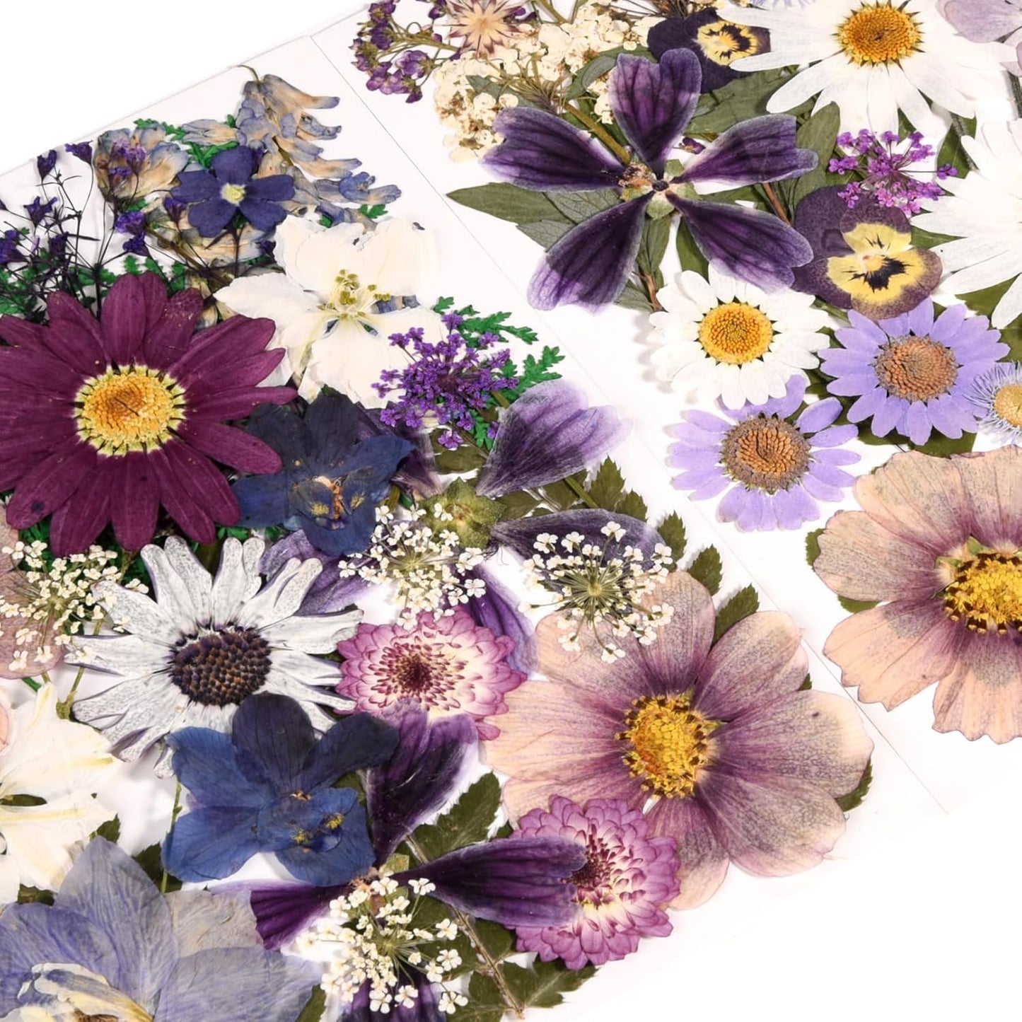80PCS Pressed Dried Flowers & Leaves, Natural Color | Real Pressed Flowers, Includes Tweezers, For DIY Crafts, Resin Jewelry, Cards, Soap,CandleMaking, Nail Art,Scrapbooking