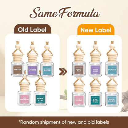 6Pack Car Air Freshener, Hanging Essential Oil Air Freshener Diffuser | Long-Lasting Fragrance Odor Eliminator, Cute Car Interior Decor Auto Car Scents Accessories Gifts for Women & Men