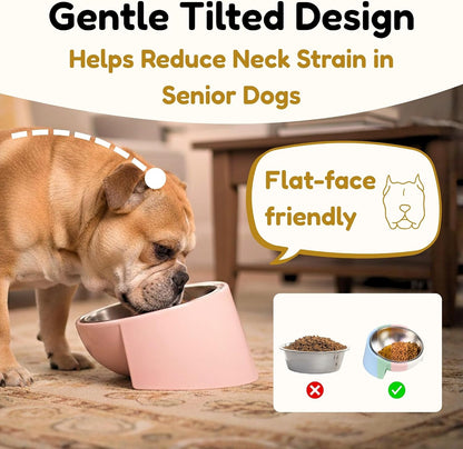 Tilted Dog Bowl for Flat-Faced & Senior Dogs, 15° Slanted Stainless Steel Dog Food Bowl, Elevated Pet Feeder for Small & Medium Dogs, Comfortable Eating Design (Yellow, M (420 ML / 1.5 Cups))
