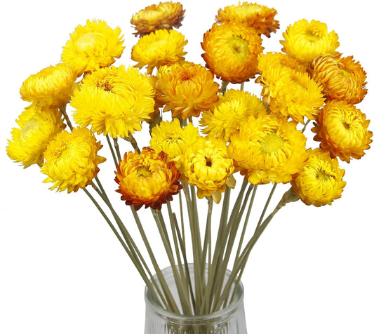 20 Pcs Natural Dried Daisy Flowers Yellow Dried Sunflowers Chrysanthemum Dry Flower Bouquet with Stem for Wedding Farmhouse Table Vase Decor Home DIY Flower Arrangement