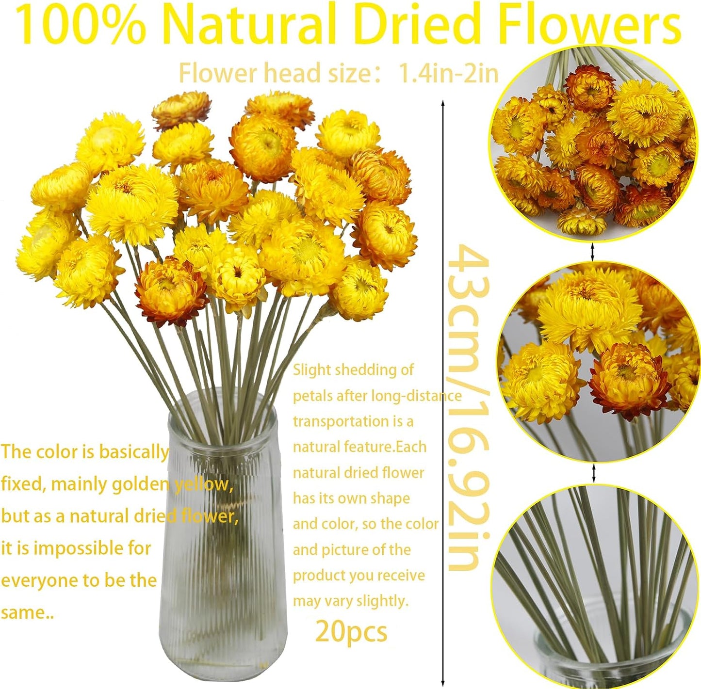 20 Pcs Natural Dried Daisy Flowers Yellow Dried Sunflowers Chrysanthemum Dry Flower Bouquet with Stem for Wedding Farmhouse Table Vase Decor Home DIY Flower Arrangement
