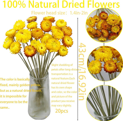 20 Pcs Natural Dried Daisy Flowers Yellow Dried Sunflowers Chrysanthemum Dry Flower Bouquet with Stem for Wedding Farmhouse Table Vase Decor Home DIY Flower Arrangement