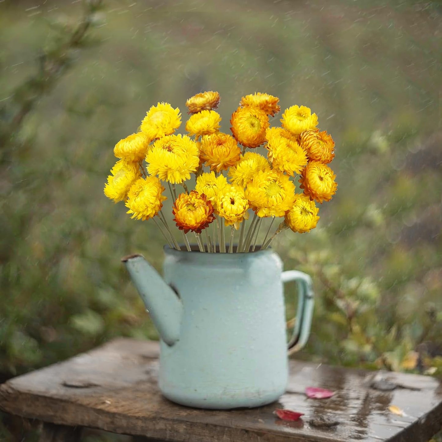 20 Pcs Natural Dried Daisy Flowers Yellow Dried Sunflowers Chrysanthemum Dry Flower Bouquet with Stem for Wedding Farmhouse Table Vase Decor Home DIY Flower Arrangement