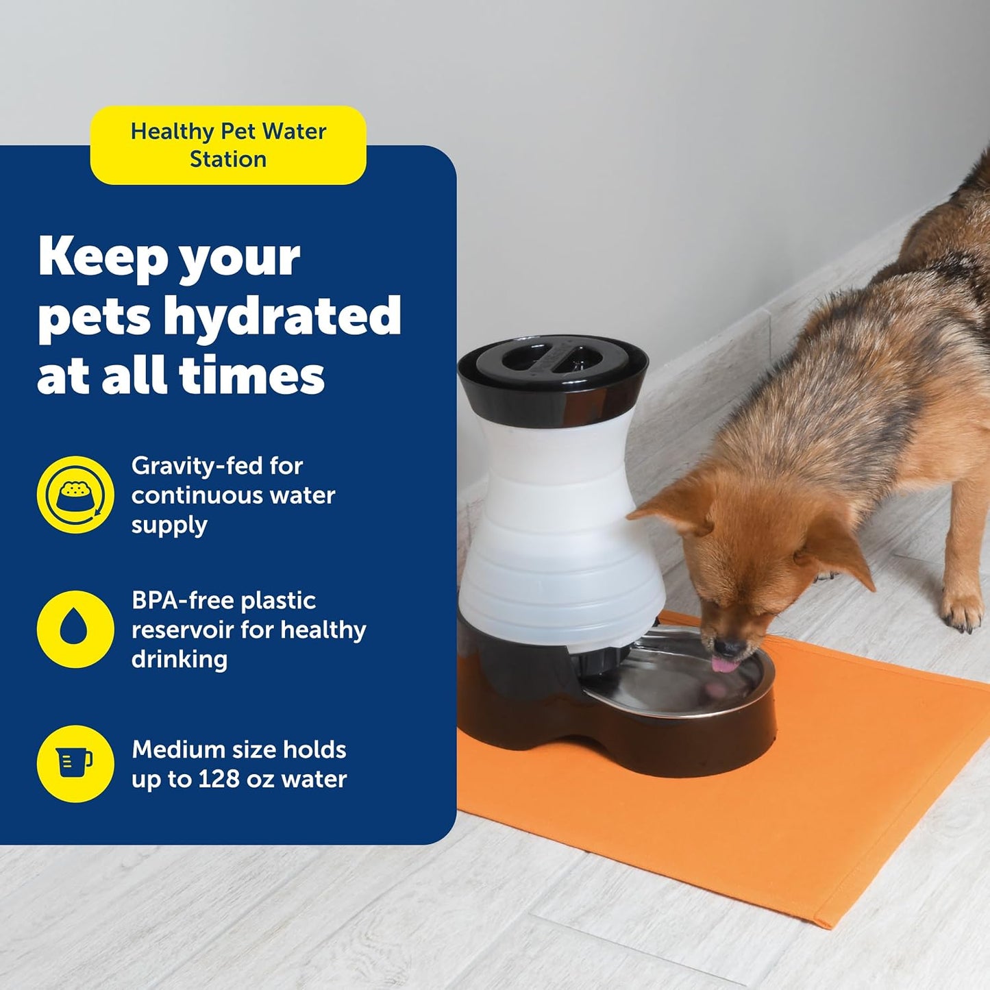 Healthy Pet Water Station, 128 oz, Stainless Steel Bowl, Medium | Gravity-Fed Pet Water Fountain Keeps Cats or Small Dogs Hydrated, Stainless Steel Bowl Is Dishwasher Safe