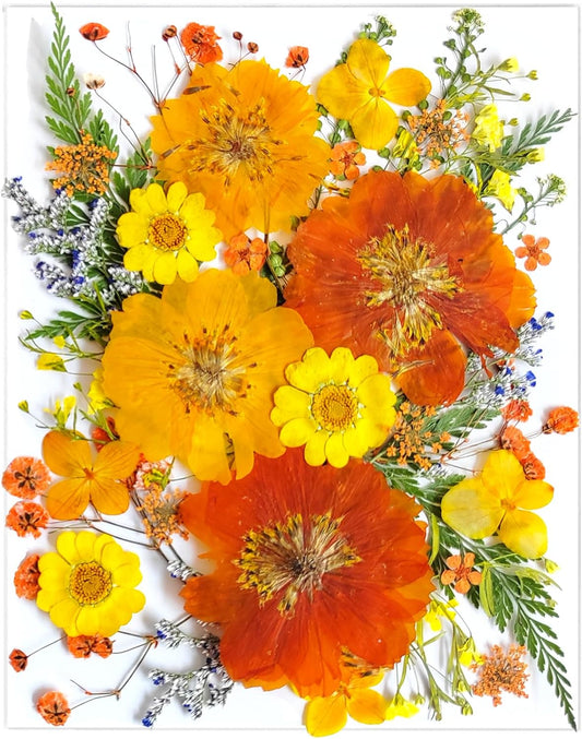 35Pcs Yellow Pressed Dried Flowers for Resin Molds, Real Natural Bulk Orange Dry Floral Leave for DIY Art Crafts, Epoxy Jewelry, Candle, Soap Making, Nails Decors