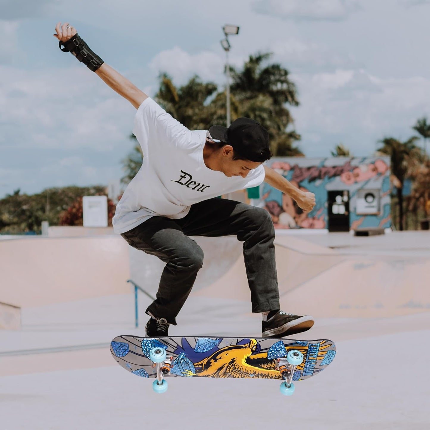 Tony Hawk - 31-Inch Signature Series 3 Skateboard, 9-Ply Maple Deck