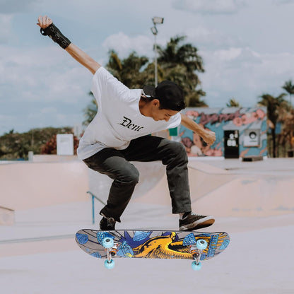 Tony Hawk - 31-Inch Signature Series 3 Skateboard, 9-Ply Maple Deck