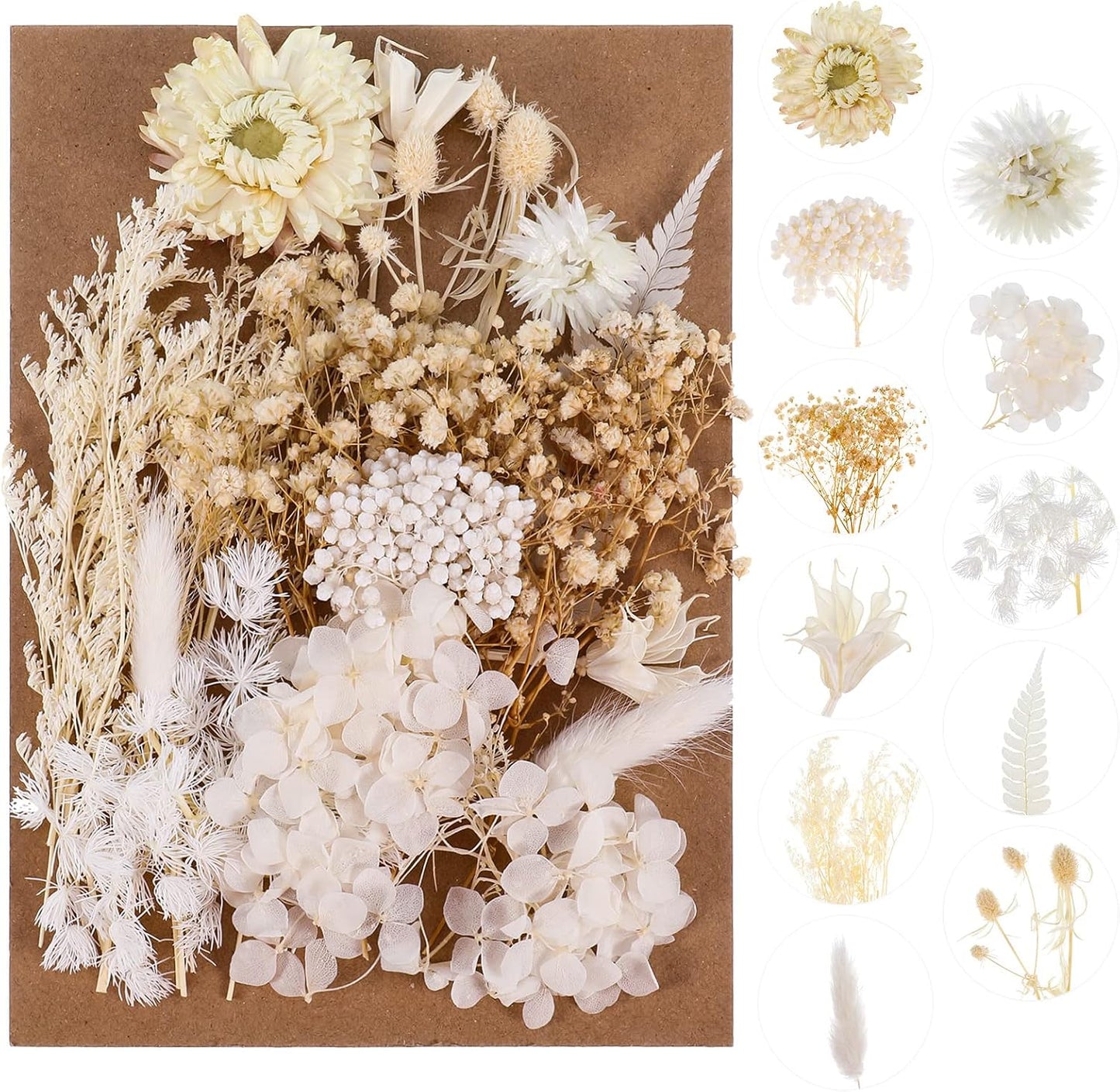 Real Natural Dried Flowers - Mixed Hydrangeas, Daisies, White Decorative for DIY Candle Resin Jewelry Nail Pendant Crafts (Beige)