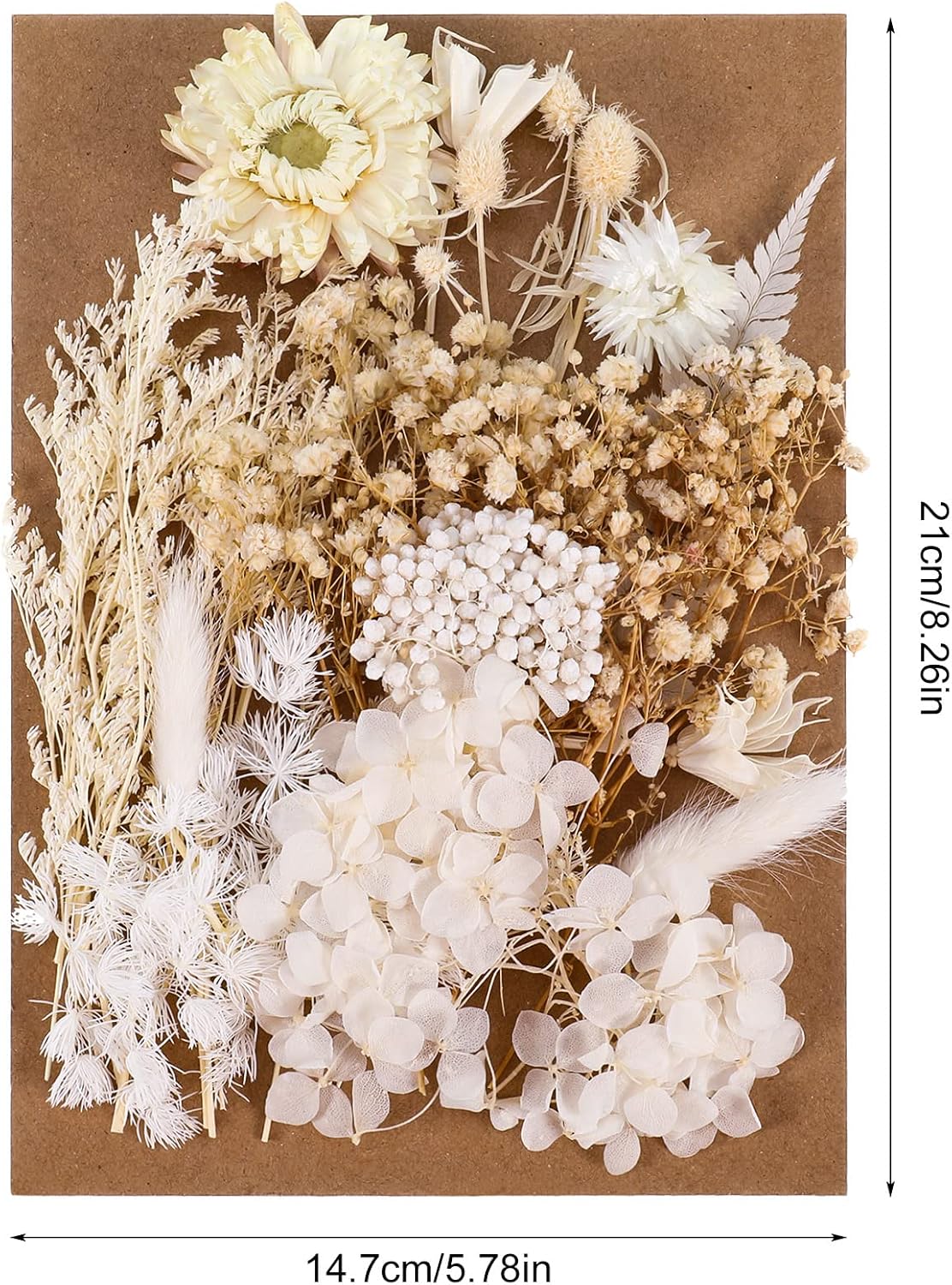 Real Natural Dried Flowers - Mixed Hydrangeas, Daisies, White Decorative for DIY Candle Resin Jewelry Nail Pendant Crafts (Beige)