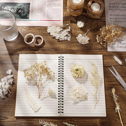 Real Natural Dried Flowers - Mixed Hydrangeas, Daisies, White Decorative for DIY Candle Resin Jewelry Nail Pendant Crafts (Beige)