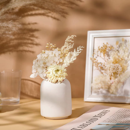 Real Natural Dried Flowers - Mixed Hydrangeas, Daisies, White Decorative for DIY Candle Resin Jewelry Nail Pendant Crafts (Beige)