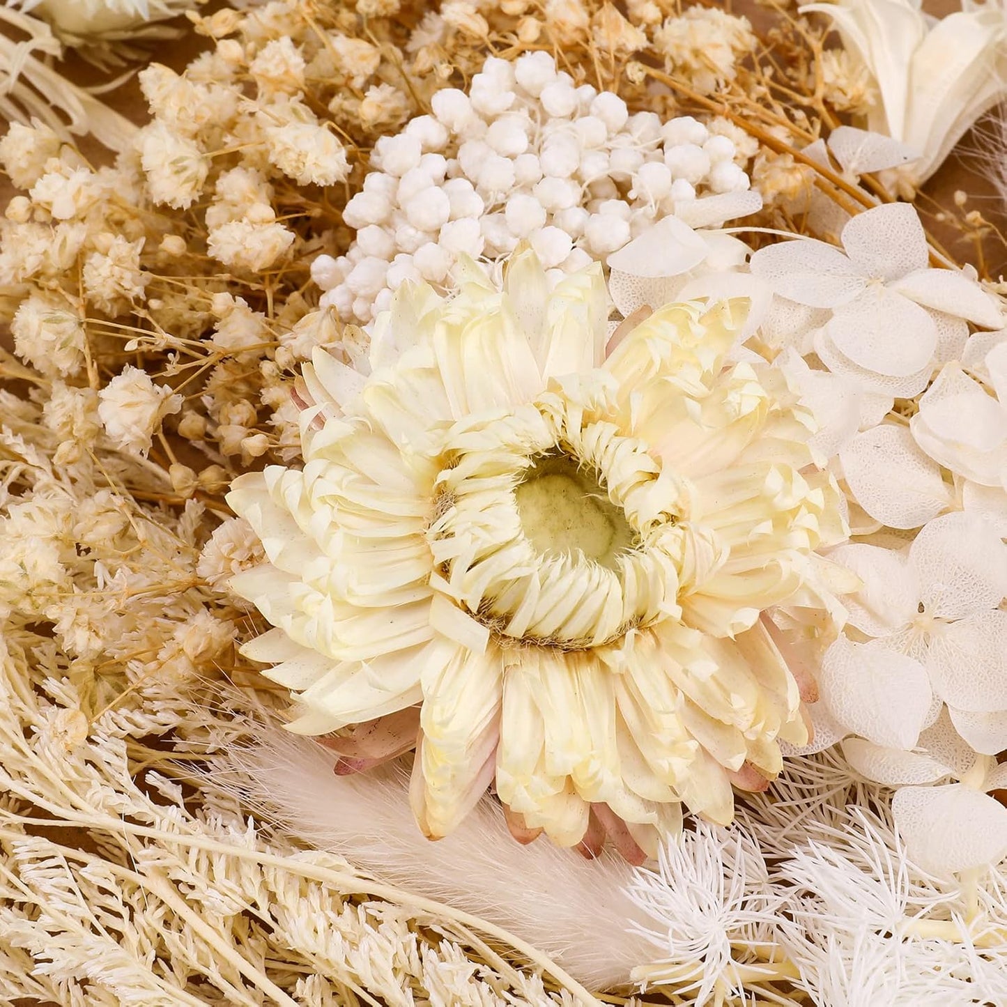 Real Natural Dried Flowers - Mixed Hydrangeas, Daisies, White Decorative for DIY Candle Resin Jewelry Nail Pendant Crafts (Beige)