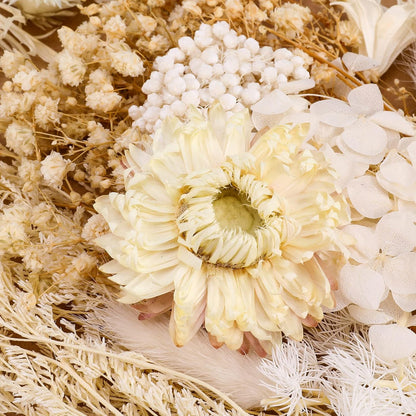 Real Natural Dried Flowers - Mixed Hydrangeas, Daisies, White Decorative for DIY Candle Resin Jewelry Nail Pendant Crafts (Beige)