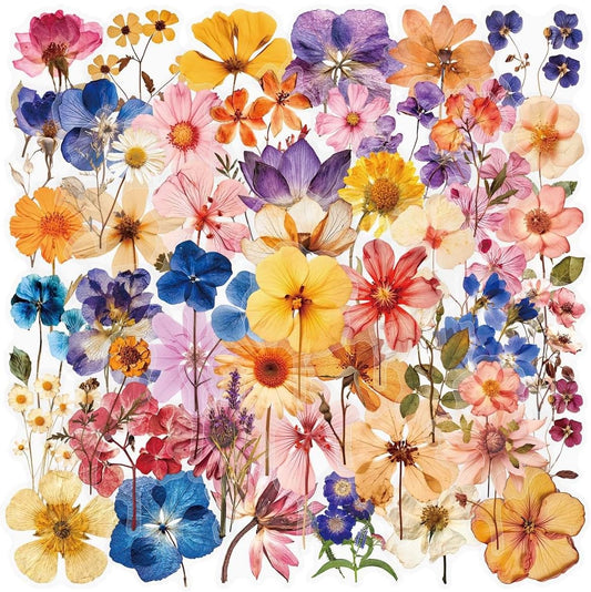 50Pcs Transparent Pressed Dried Flower Stickers Pack, Waterproof PET Vintage Floral Stickers for Flower Lovers Teens Adults, No‑Residue Decals for Journaling Scrapbooking Water Bottle Laptop Phone