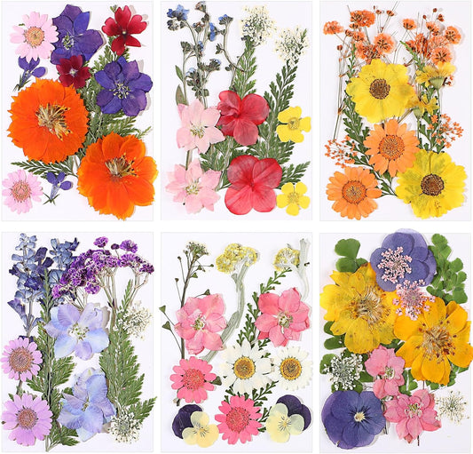 72 Pcs Dried Pressed Flowers Bulk for Resin Crafts,Gorgeous Style | Real Leaves Herbs Mix, For Scrapbooking Jewelry Candle Soap Making Nail Art Decor, Multicolor Petals Flowers Kit