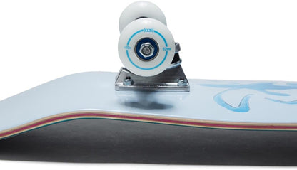 [ ] Graphic Skateboard Complete | Maple Wood | Professional Grade | Fully Assembled with Skate Tool & Stickers | Adults, Kids, Teens, Youth | Boys & Girls
