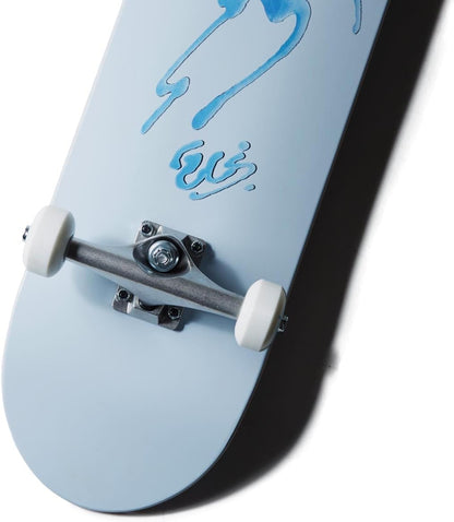 [ ] Graphic Skateboard Complete | Maple Wood | Professional Grade | Fully Assembled with Skate Tool & Stickers | Adults, Kids, Teens, Youth | Boys & Girls
