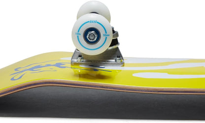 [ ] Graphic Skateboard Complete | Maple Wood | Professional Grade | Fully Assembled with Skate Tool & Stickers | Adults, Kids, Teens, Youth | Boys & Girls