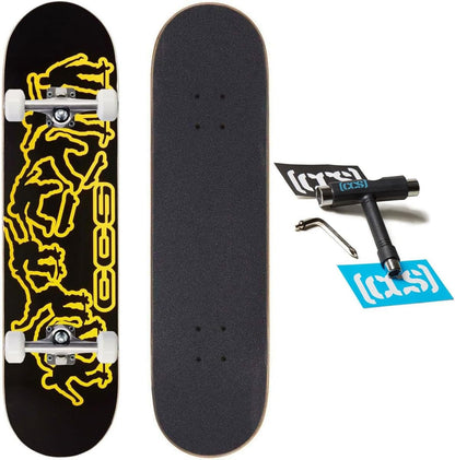 [ ] Graphic Skateboard Complete | Maple Wood | Professional Grade | Fully Assembled with Skate Tool & Stickers | Adults, Kids, Teens, Youth | Boys & Girls