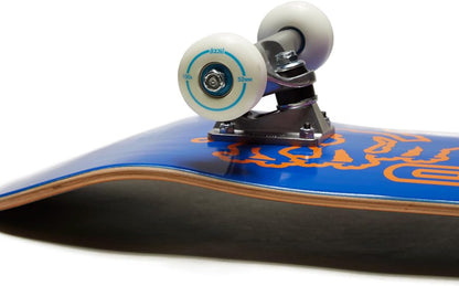 [ ] Graphic Skateboard Complete | Maple Wood | Professional Grade | Fully Assembled with Skate Tool & Stickers | Adults, Kids, Teens, Youth | Boys & Girls