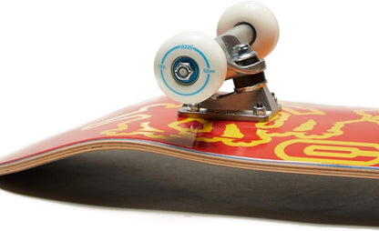 [ ] Graphic Skateboard Complete | Maple Wood | Professional Grade | Fully Assembled with Skate Tool & Stickers | Adults, Kids, Teens, Youth | Boys & Girls