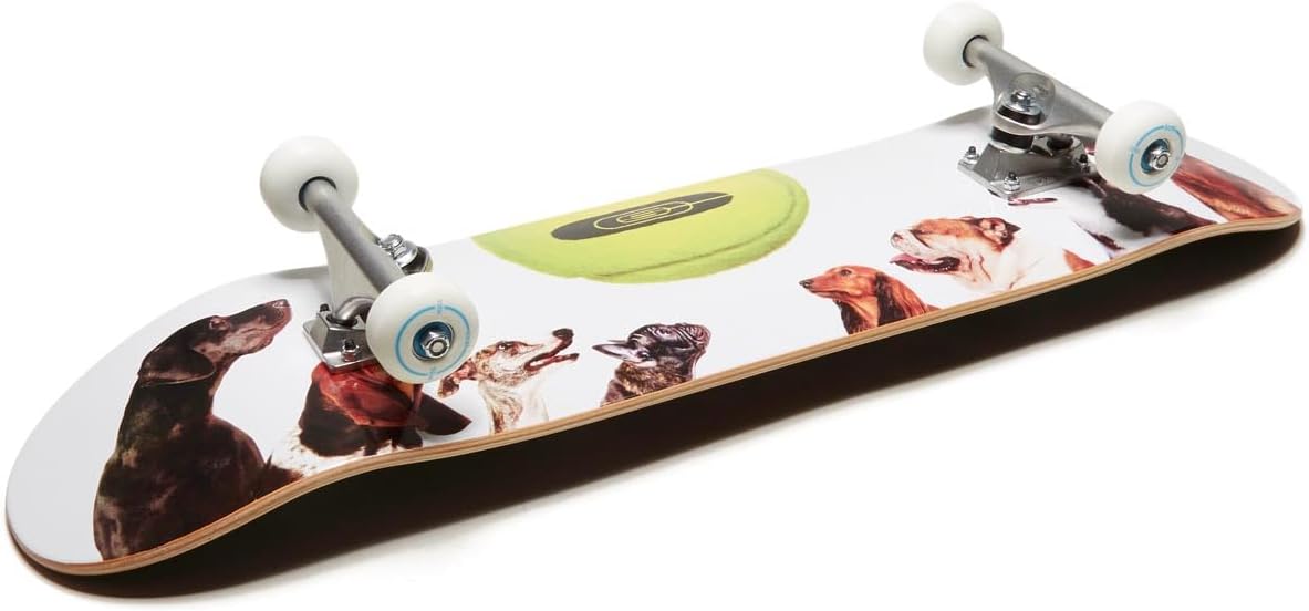 [ ] Graphic Skateboard Complete | Maple Wood | Professional Grade | Fully Assembled with Skate Tool & Stickers | Adults, Kids, Teens, Youth | Boys & Girls