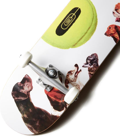 [ ] Graphic Skateboard Complete | Maple Wood | Professional Grade | Fully Assembled with Skate Tool & Stickers | Adults, Kids, Teens, Youth | Boys & Girls