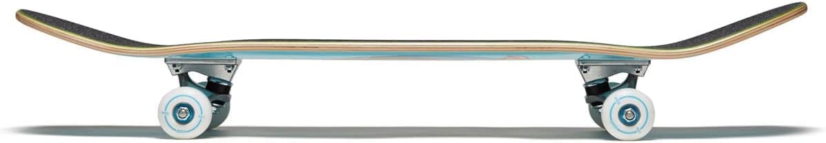 [ ] Graphic Skateboard Complete | Maple Wood | Professional Grade | Fully Assembled with Skate Tool & Stickers | Adults, Kids, Teens, Youth | Boys & Girls