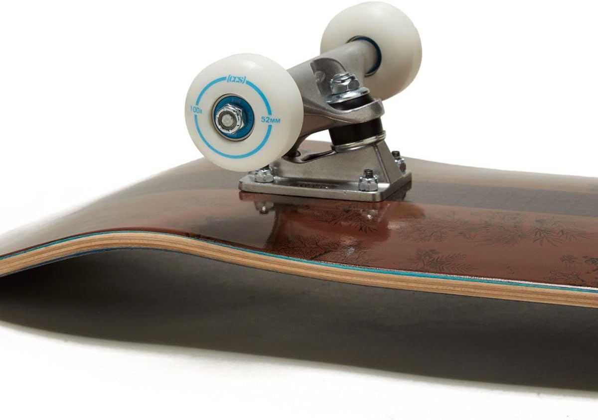 [ ] Graphic Skateboard Complete | Maple Wood | Professional Grade | Fully Assembled with Skate Tool & Stickers | Adults, Kids, Teens, Youth | Boys & Girls