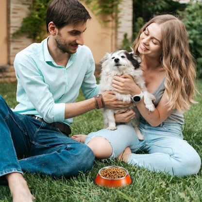 6Pcs 7oz Stainless Steel Dog Bowl,for Puppy,Small Cat,Pet,Kitten | Stackable Water and Food Dishes, Non Slip Silicone Base, Stain and Rust Resistance, Polished Rim, Safety & Easy to Clean