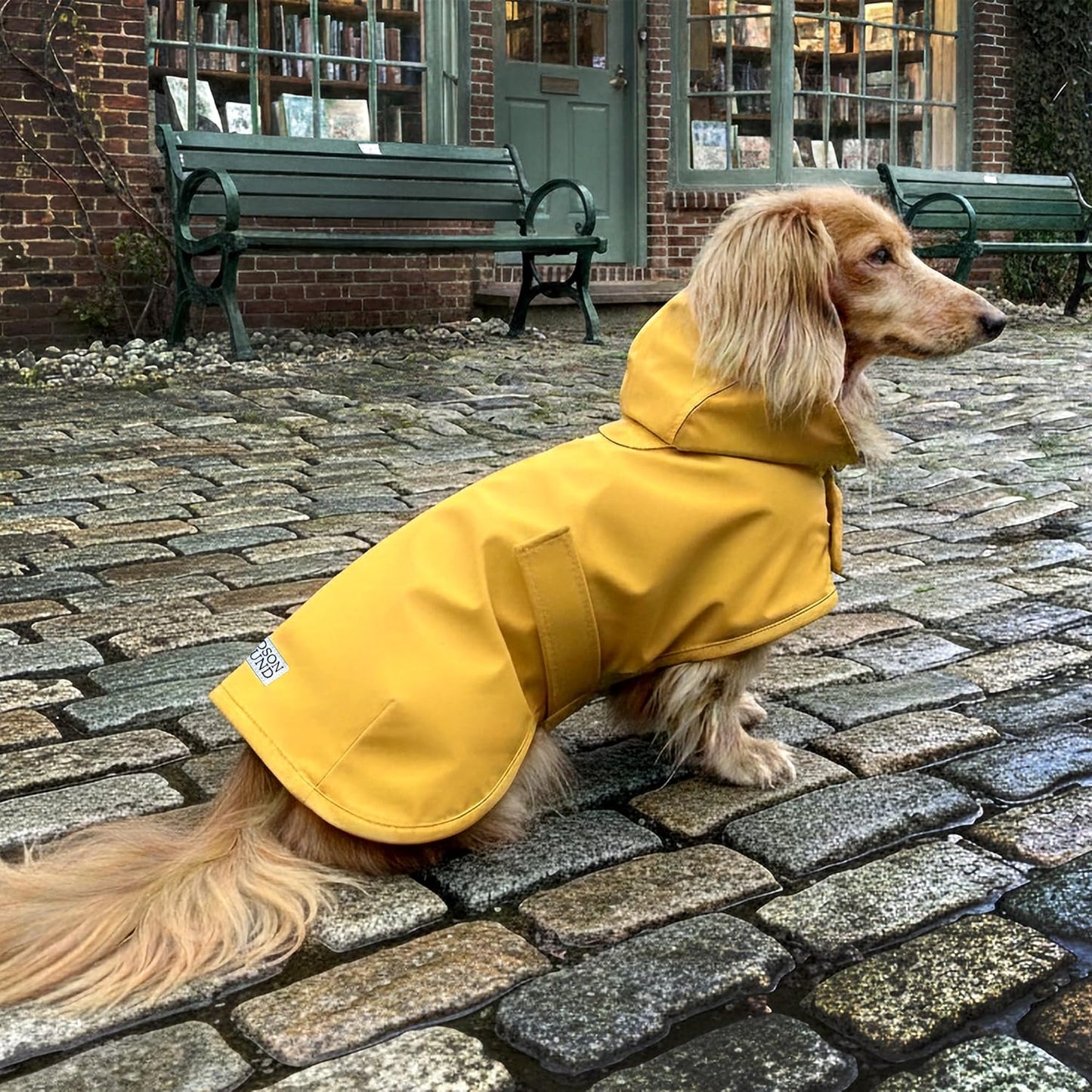 Dachshund Raincoat - Waterproof & Windproof Dog Jacket for Long Weiner Dogs, Adjustable Fit, Harness Hole - Yellow, X-Small