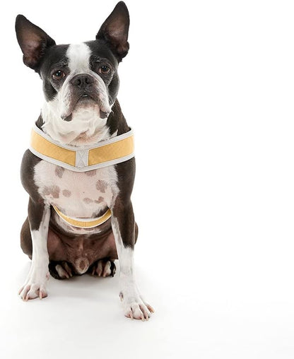 Simple Step-in III Dog Harness, Yellow, Small | Slide-to-fit chest strap; Breathable inner mesh; Scratch-resistant outer; Quick-release buckle; Durable POM leash ring