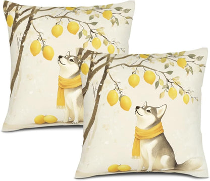 Spring Summer Lemon Pillow Covers Husky Pillowcase 14x14 Inch Throw Pillows Farmhouse Cushion Case for Sofa Couch Set of 2