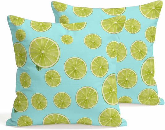 Set of 2 Summer Fruit Pillow Covers 18x18 Inch, Watercolor Green Lemon Slice Blue Background Decorative Throw Pillow Cases Cotton Cushion Covers for Sofa Couch Bed Living Room Bedroom Home Decor