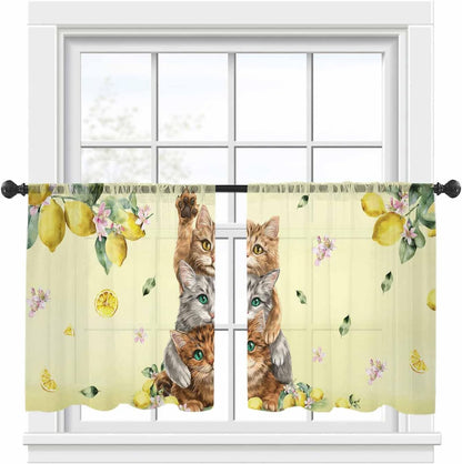 Lemons Cats Sheer Window Chiffon Curtains 54 Inches Long, Summer Rustic Botanical Fruits Yellow Windows Voile Curtain for Living Room, Elegant Light Filtering Window Drapes, 52"W x 54"L, 2 Panels