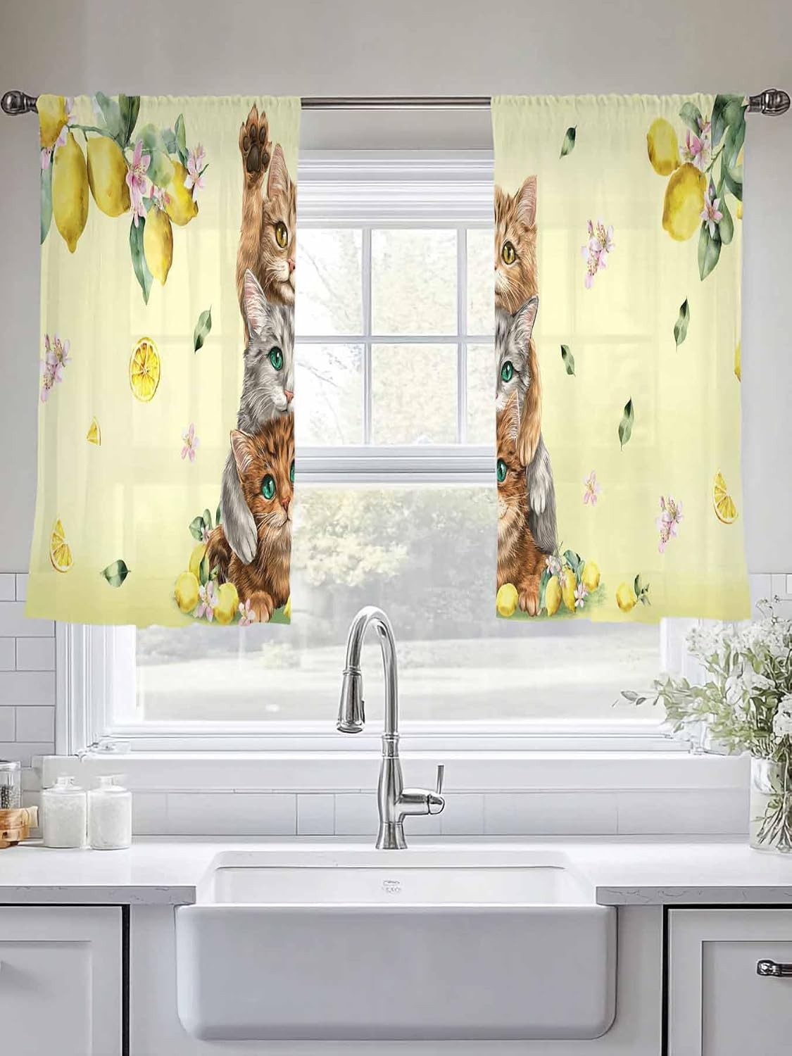 Lemons Cats Sheer Window Chiffon Curtains 54 Inches Long, Summer Rustic Botanical Fruits Yellow Windows Voile Curtain for Living Room, Elegant Light Filtering Window Drapes, 52"W x 54"L, 2 Panels