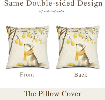 Spring Summer Lemon Pillow Covers Husky Pillowcase 14x14 Inch Throw Pillows Farmhouse Cushion Case for Sofa Couch Set of 2