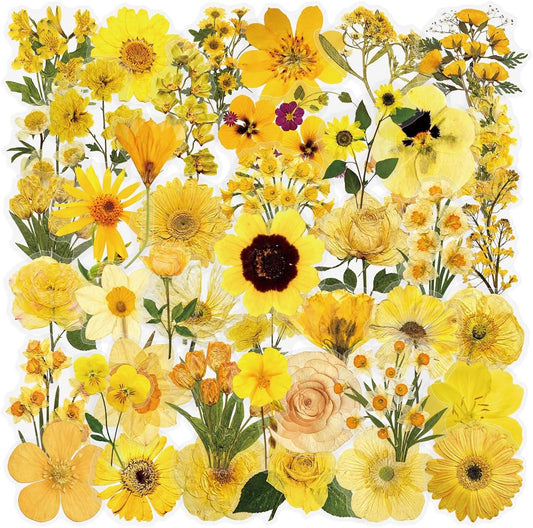Pressed Flower Stickers 50-Pack, Transparent Yellow Waterproof Decals for Phone Case, Laptop, Water Bottle, Journal, Luggage - Aesthetic Dried Flower Vinyl Stickers for DIY & Scrapbooking