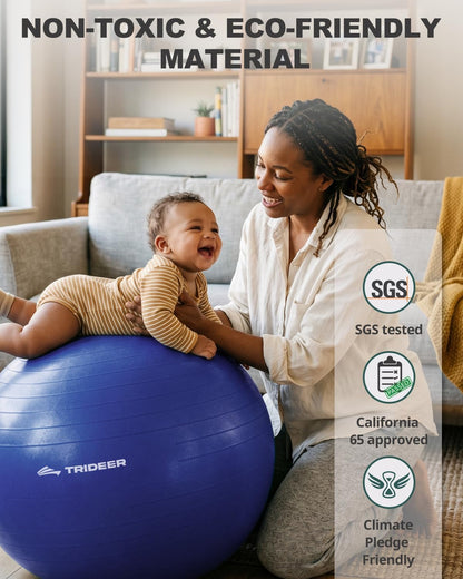 Yoga Ball for Exercise, Pilates, Core & Balance Training, Stability Ball for Pregnancy & Birthing Prep, Physical Therapy, Daily Stretching, Office Chair for Active Sitting, Quick Pump Included