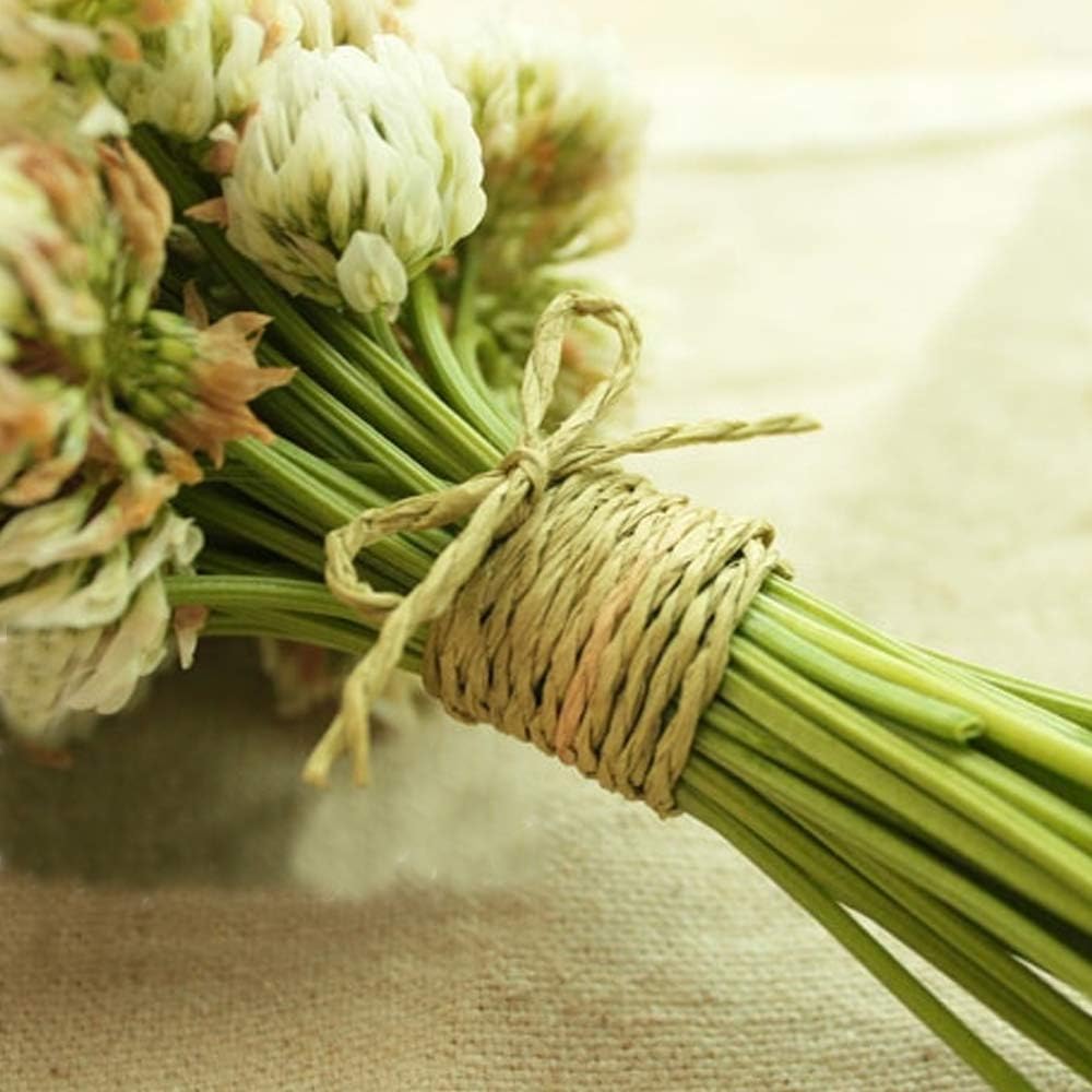 Natural Cotton Raffia Yarn Sun Hat Yarn Beach Bag Yarn DIY Craft Gift Box Packing Twine Raffia Ribbon Knitting Materials Lemon Yellow 200M/218 Yards