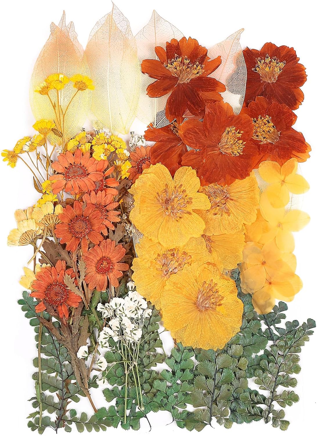 100 PCS Real Dried Pressed Flowers Leaves Natural Plant Herbarium for DIY Resin Mold Jewelry Making Craft (20 Styles)-Fall Yellow Orange