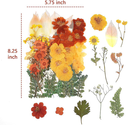 100 PCS Real Dried Pressed Flowers Leaves Natural Plant Herbarium for DIY Resin Mold Jewelry Making Craft (20 Styles)-Fall Yellow Orange
