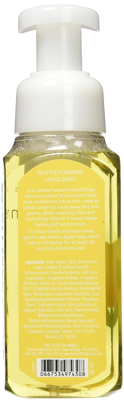 Kitchen Lemon Gentle Foaming Hand Soap