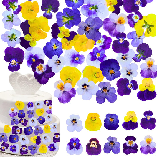 60 Pcs 10 Colors Natural Dried Pressed Edible Viola Tricolor Flowers for Cake Topper Decoration – for Cupcake Toppers Cocktails Resin Jewelry DIY Crafts (Purple)